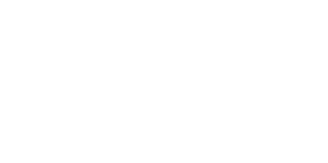 icodejr main white